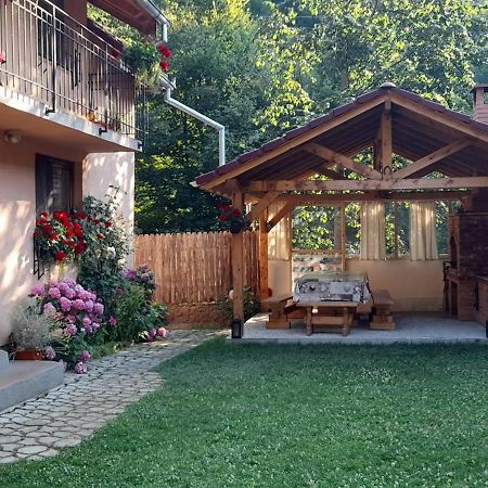 Вілла Casa Iulia & Matei Кирцишоара Екстер'єр фото