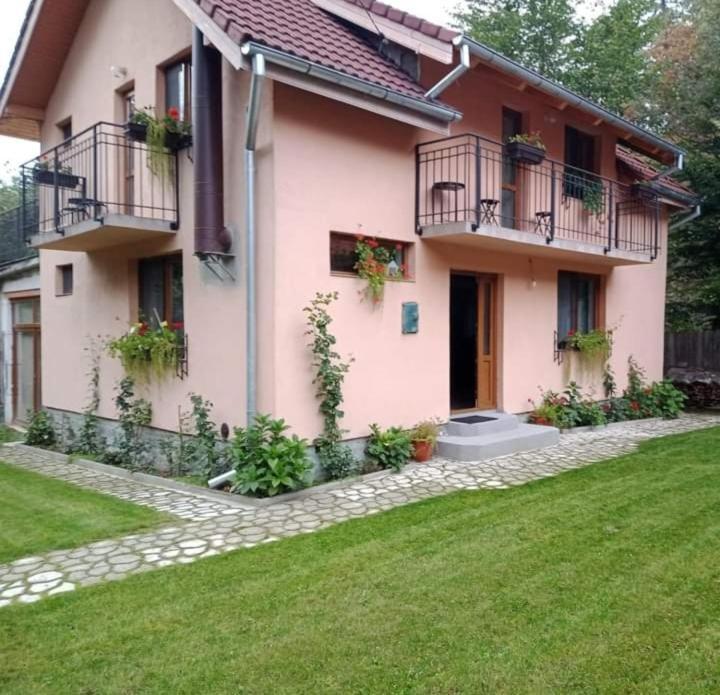 Вілла Casa Iulia & Matei Кирцишоара Екстер'єр фото