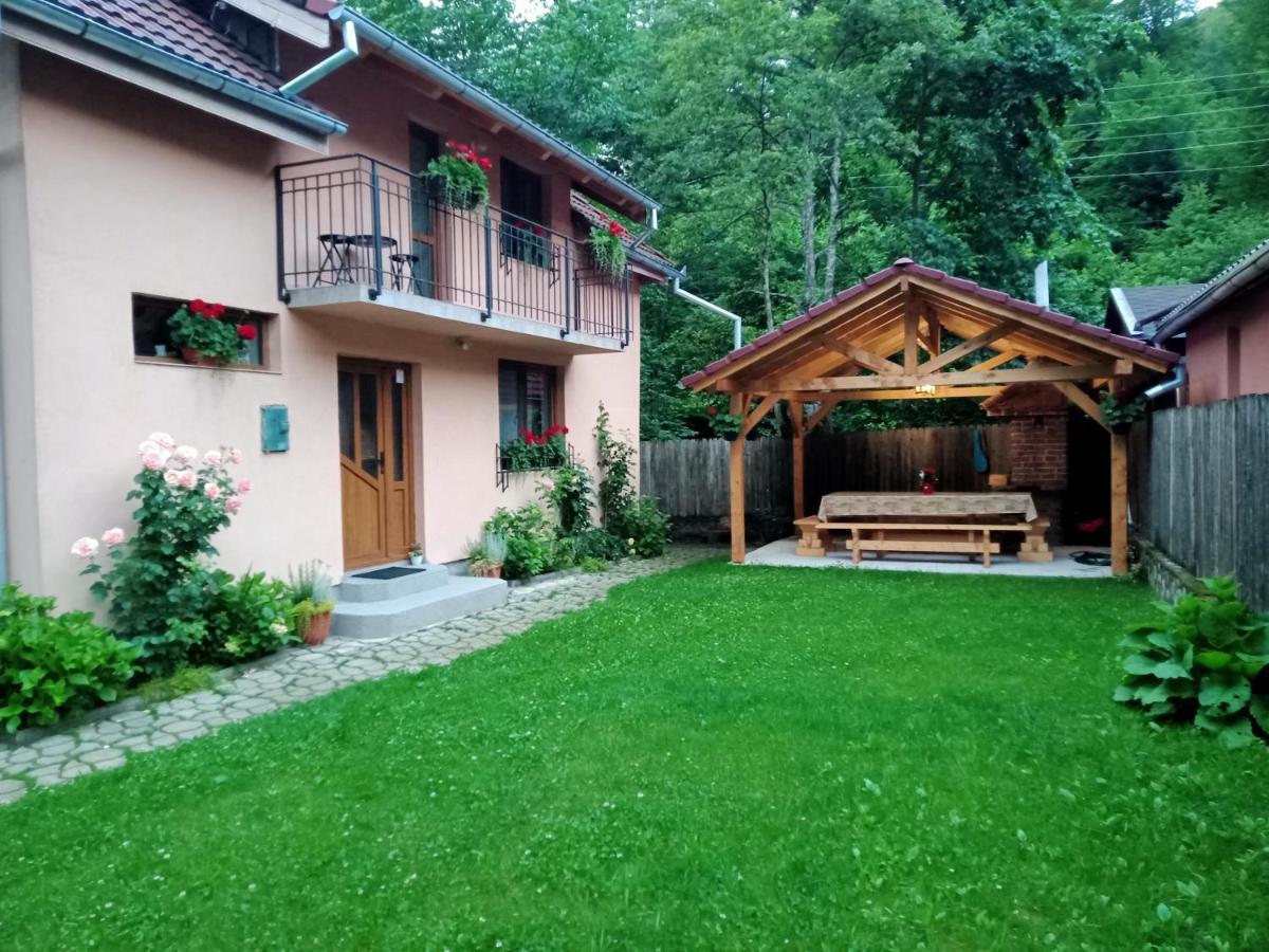 Вілла Casa Iulia & Matei Кирцишоара Екстер'єр фото