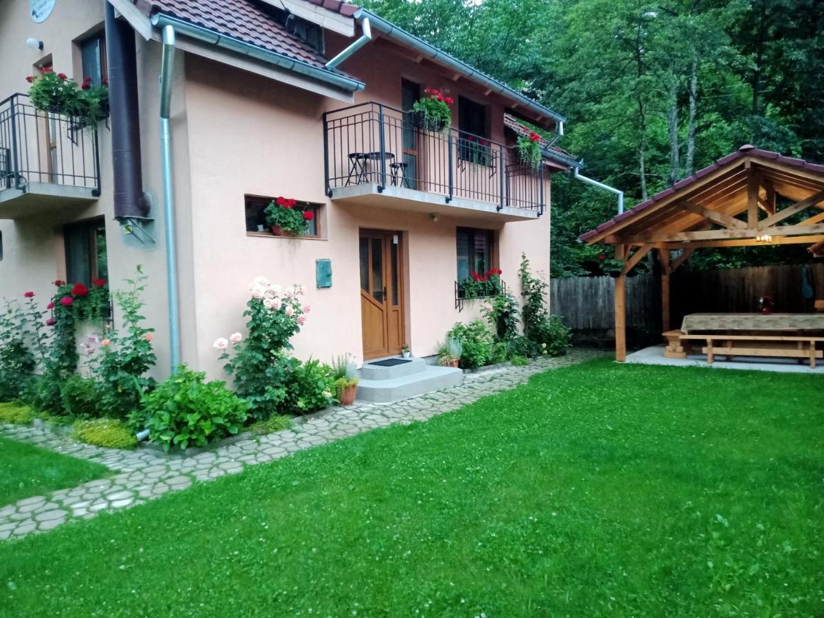Вілла Casa Iulia & Matei Кирцишоара Екстер'єр фото