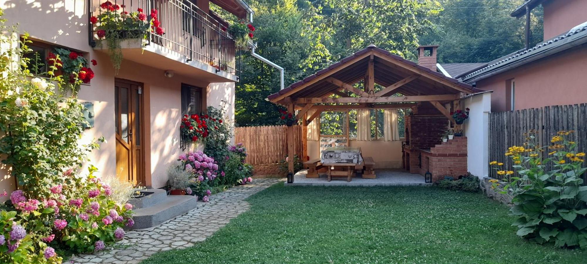 Вілла Casa Iulia & Matei Кирцишоара Екстер'єр фото